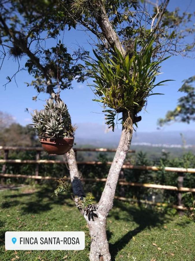 Finca Santa Rosa Teocelo Zewnętrze zdjęcie