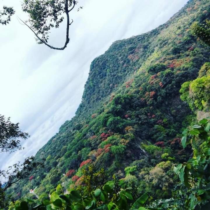 Finca Santa Rosa Teocelo Zewnętrze zdjęcie