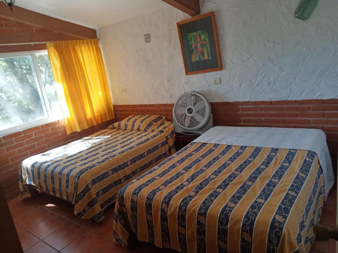 Finca Santa Rosa Teocelo Zewnętrze zdjęcie